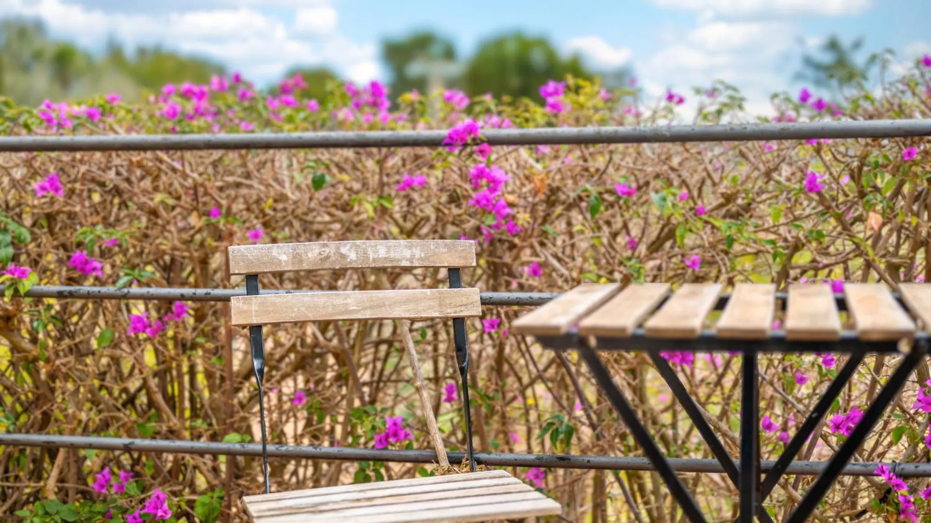 Villa Agroturismo Son Bauzanet Establiments